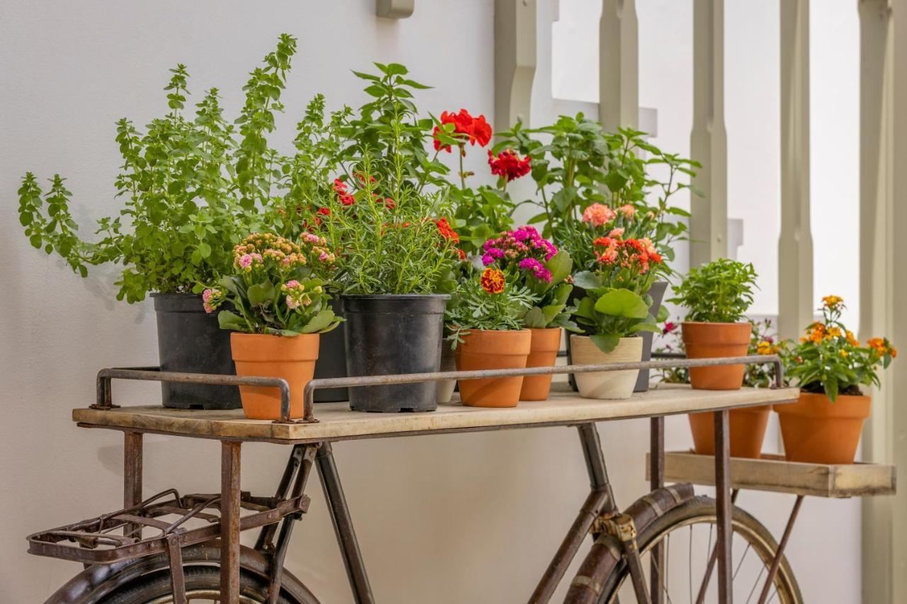 Amarada City Suites Rhodes City Kültér fotó
